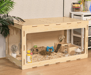 Guinea Pig Cage