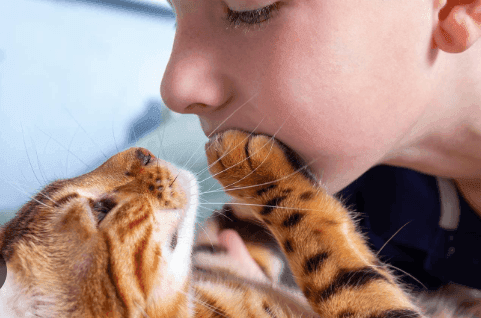 Why Do Cats Smell Your Breath