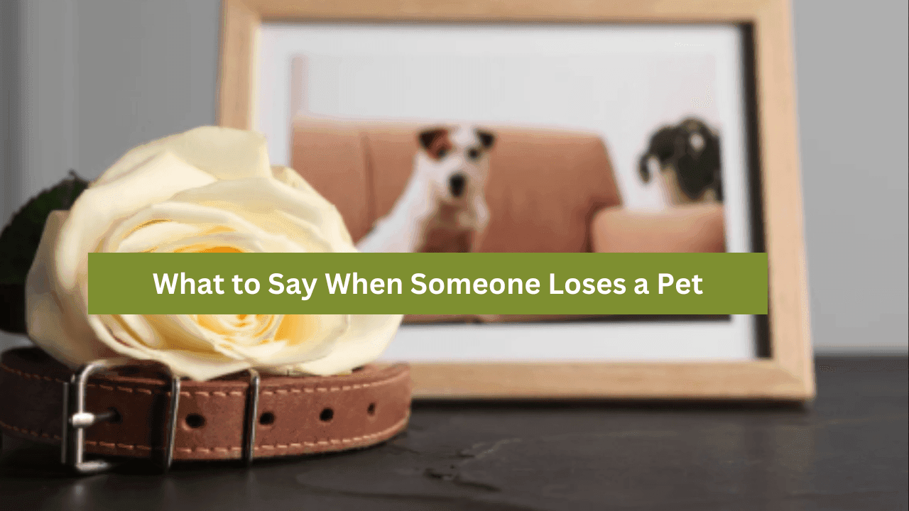What to Say When Someone Loses a Pet