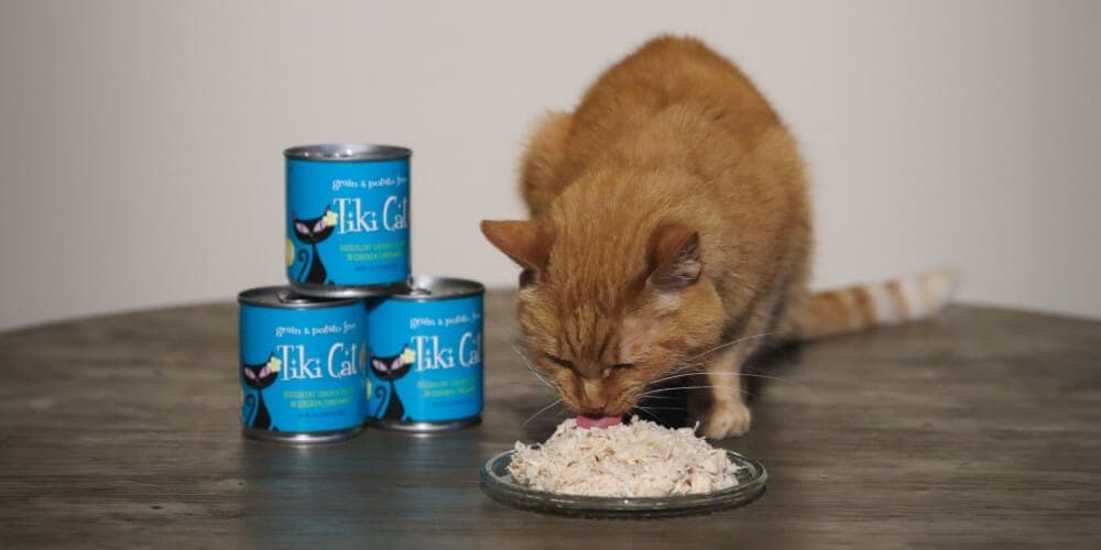 Tiki Cat Food Review
