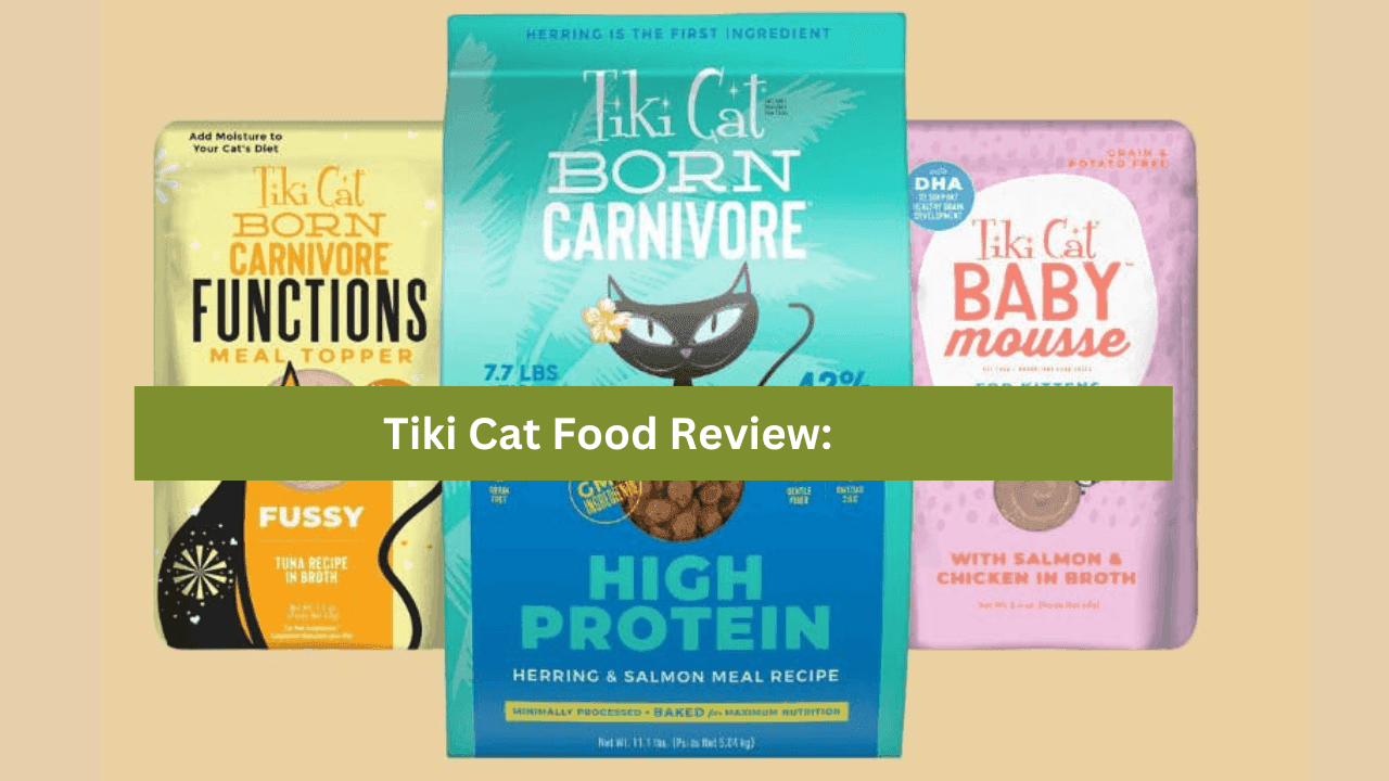 Tiki Cat Food Review:
