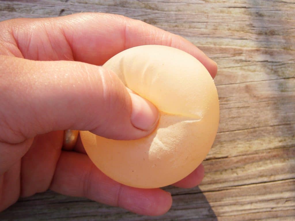 why is my hen laying soft eggs