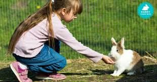 Can Rabbits Eat Parsnips? Benefits, Risks, and Safe Feeding Tips