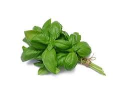 Basil and Bunnies
