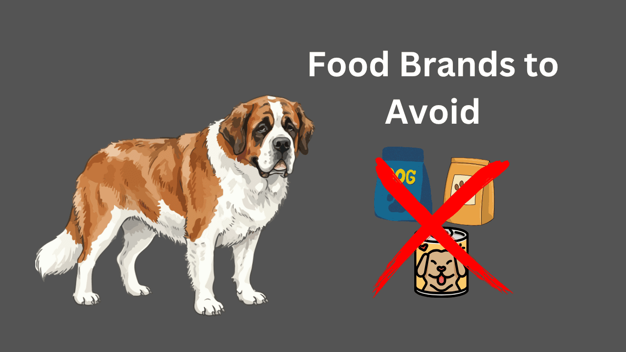 avoid a dog food brand