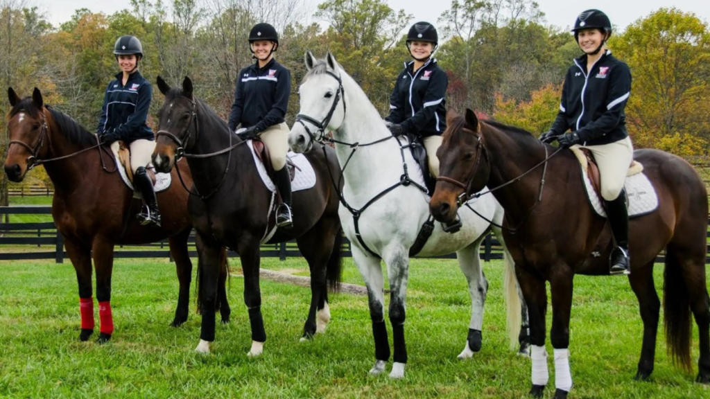 Fascinating Equestrian Competition