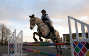 Fascinating Equestrian Competition