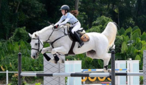 Fascinating Equestrian Competition