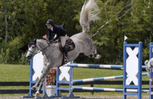 Fascinating Equestrian Competition