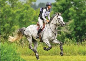 Fascinating Equestrian Competition