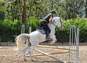 Fascinating Equestrian Competition