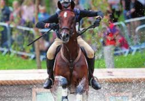 Fascinating Equestrian Competition