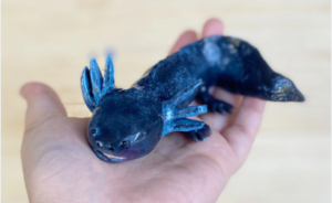 Black Axolotl