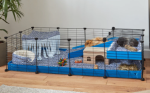 Guinea Pig Cage