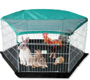 Guinea Pig Cage