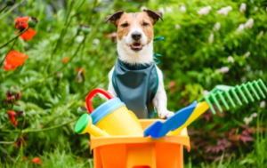 Can Kids and Pets Use a Lawn After Treatment?