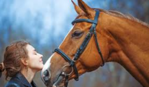 Do Horses Recognize Humans?