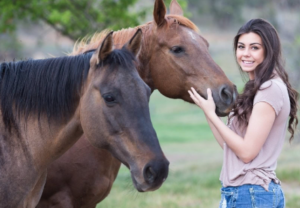 Do Horses Recognize Humans?