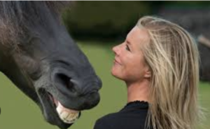 Do Horses Recognize Humans?