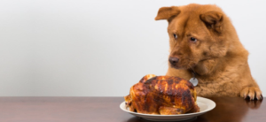 Can Dogs Live on Chicken Alone? 