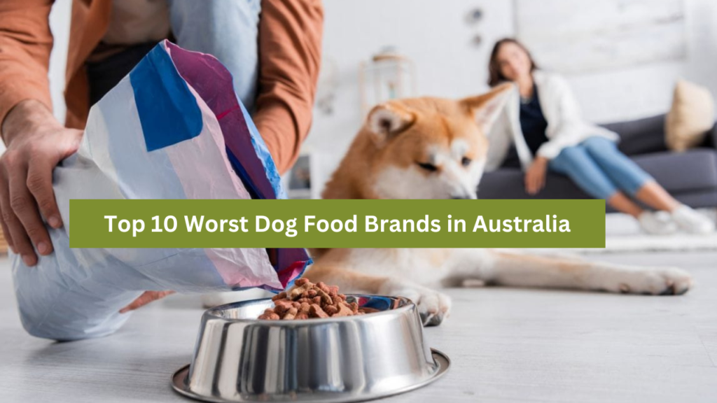 Worst Dog Food Brands in Australia