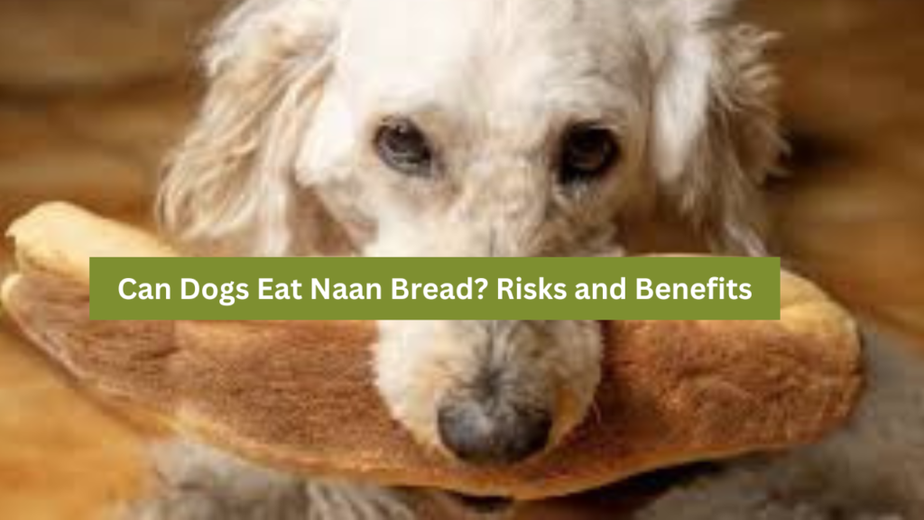 Can Dogs Eat Naan Bread