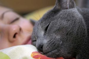 Why has my cat stopped sleeping with me? : Behavior Changes and Solutions