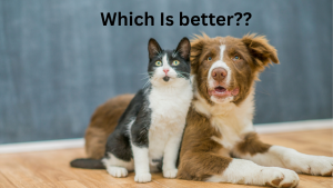 Why Dogs Are Better Than Cats