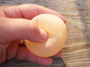 why is my hen laying soft eggs