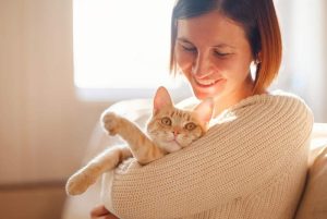 why is my female cat suddenly so affectionate