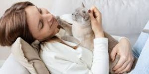 why does my cat put his paw on my mouth