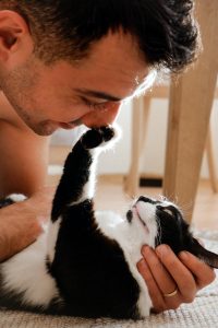 why does my cat put his paw on my mouth