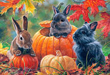 Pumpkins and Bunnies