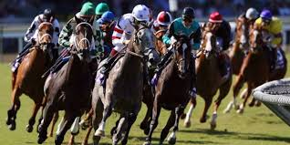 How Do I Read a Horse Racing Form?
