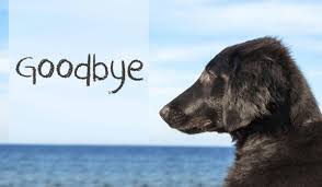 Saying Goodbye to Your Dog